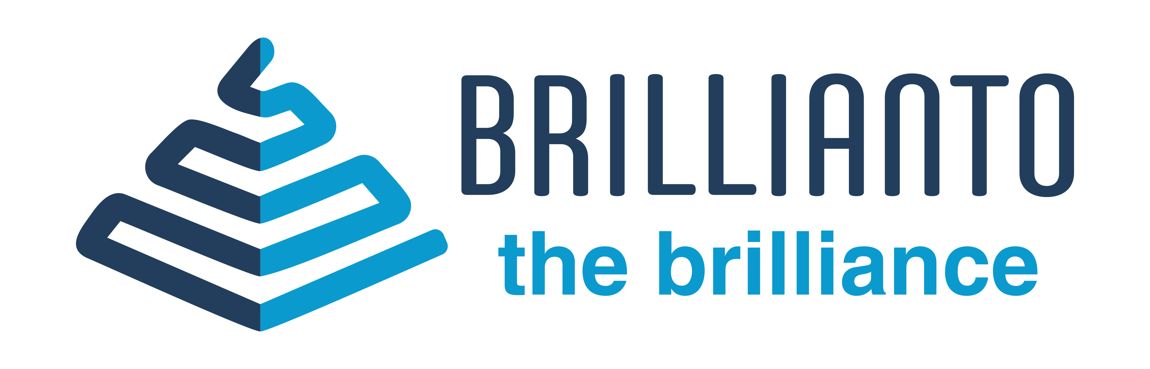 Consultancy Service At Best Price In Mumbai Brillianto Consultancy